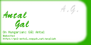 antal gal business card